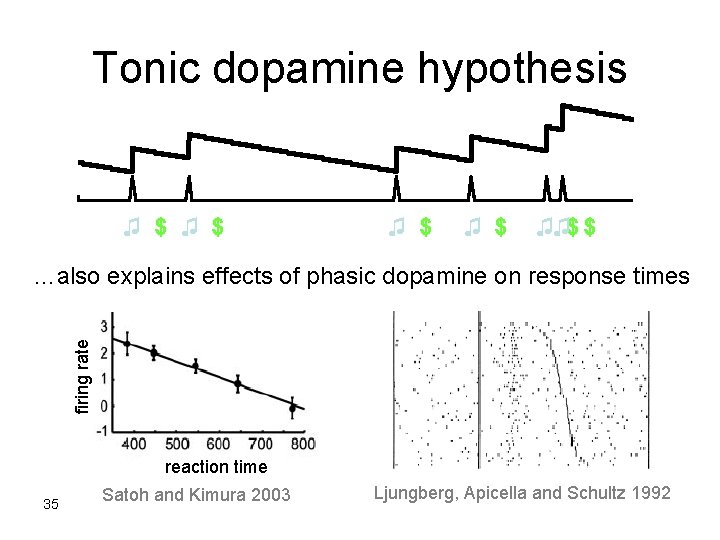 Tonic dopamine hypothesis ♫ $ ♫ $ ♫♫$ $ firing rate …also explains effects