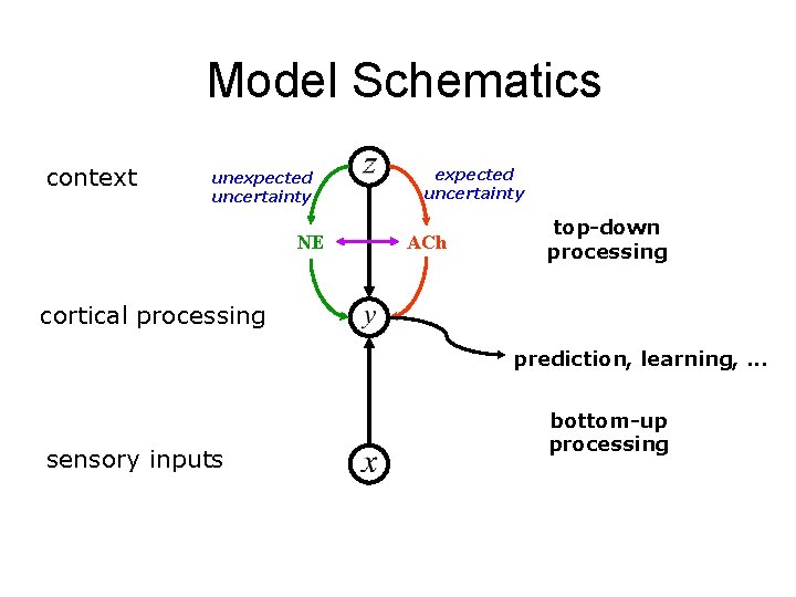 Model Schematics context unexpected uncertainty NE expected uncertainty ACh top-down processing cortical processing prediction,