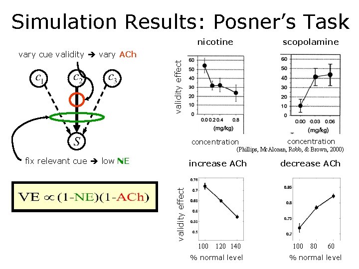 Simulation Results: Posner’s Task nicotine scopolamine validity effect vary cue validity vary ACh concentration