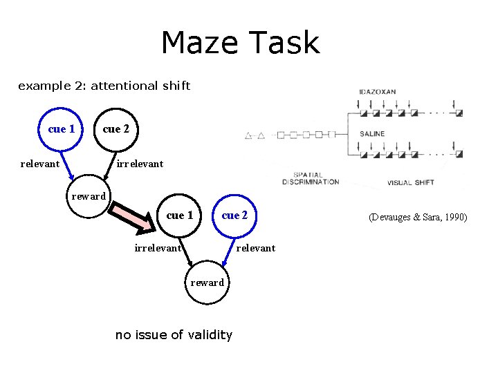 Maze Task example 2: attentional shift cue 1 cue 2 relevant irrelevant reward cue