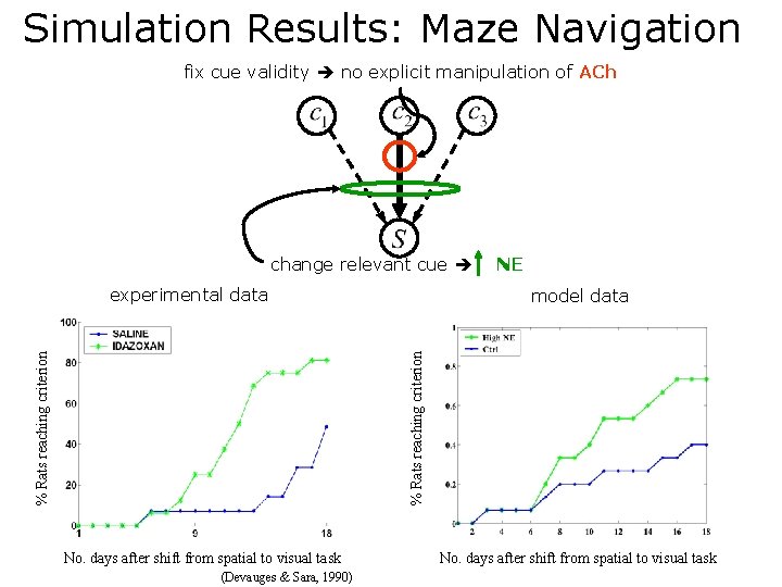 Simulation Results: Maze Navigation fix cue validity no explicit manipulation of ACh change relevant