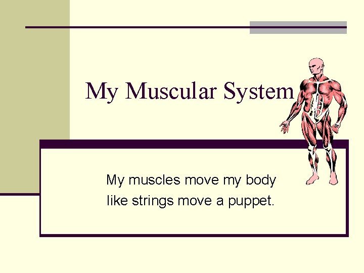 My Muscular System My muscles move my body like strings move a puppet. 