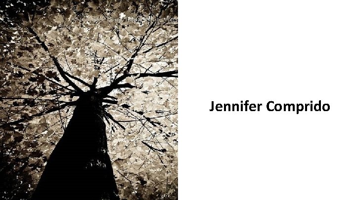 Jennifer Comprido 