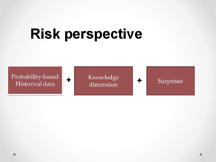 Risk perspective + + 
