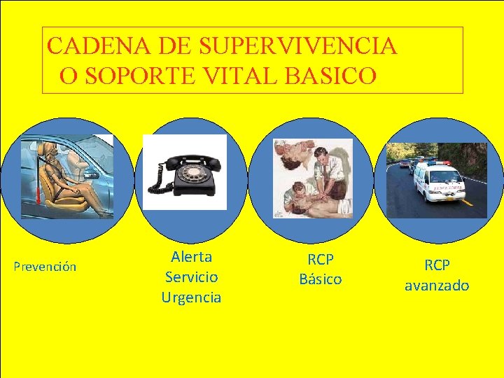 CADENA DE SUPERVIVENCIA O SOPORTE VITAL BASICO Prevención Alerta Servicio Urgencia RCP Básico RCP