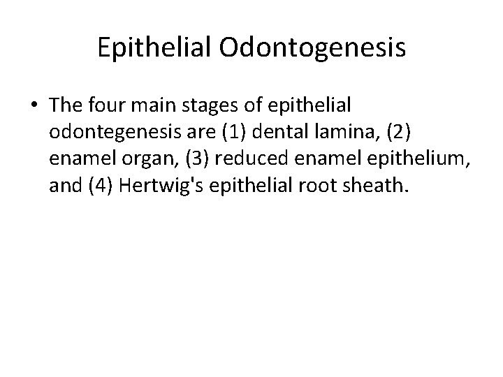 Epithelial Odontogenesis • The four main stages of epithelial odontegenesis are (1) dental lamina,
