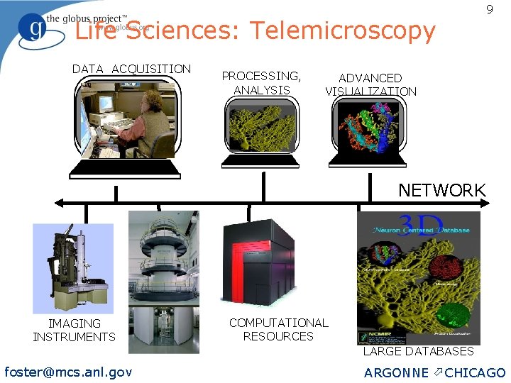 Life Sciences: Telemicroscopy DATA ACQUISITION PROCESSING, ANALYSIS 9 ADVANCED VISUALIZATION NETWORK IMAGING INSTRUMENTS COMPUTATIONAL