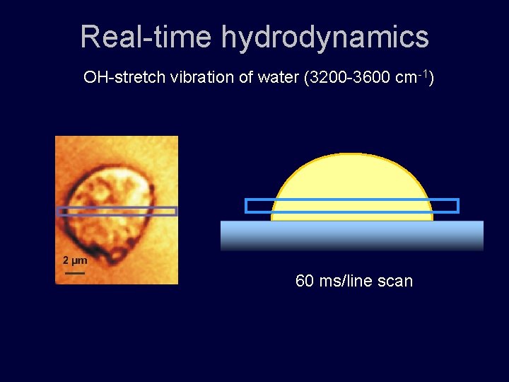 Real-time hydrodynamics OH-stretch vibration of water (3200 -3600 cm-1) 60 ms/line scan 