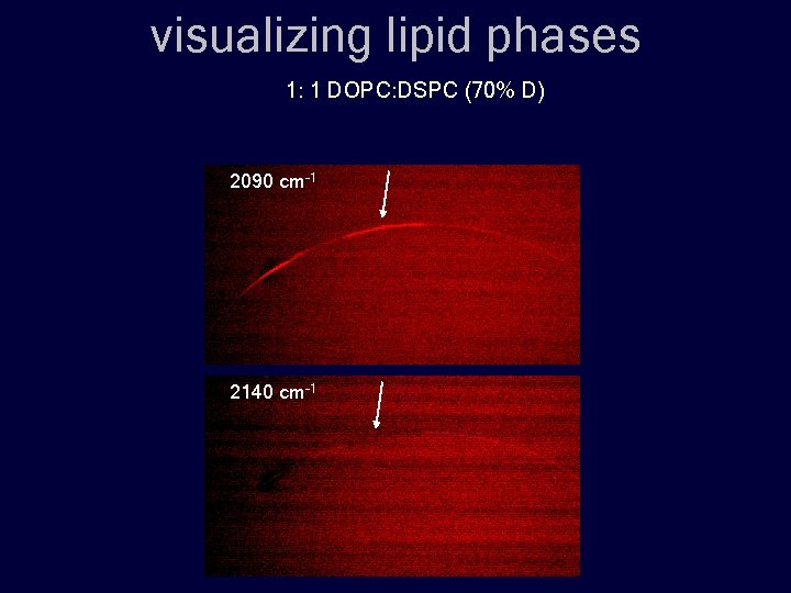 visualizing lipid phases 1: 1 DOPC: DSPC (70% D) 2090 cm-1 2140 cm-1 