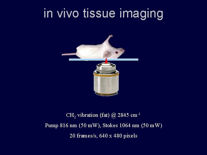 in vivo tissue imaging CH 2 vibration (fat) @ 2845 cm-1 Pump 816 nm