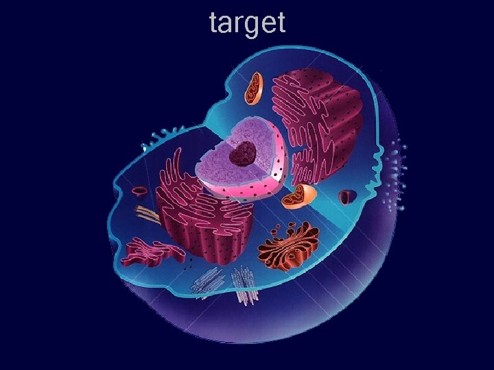 target 