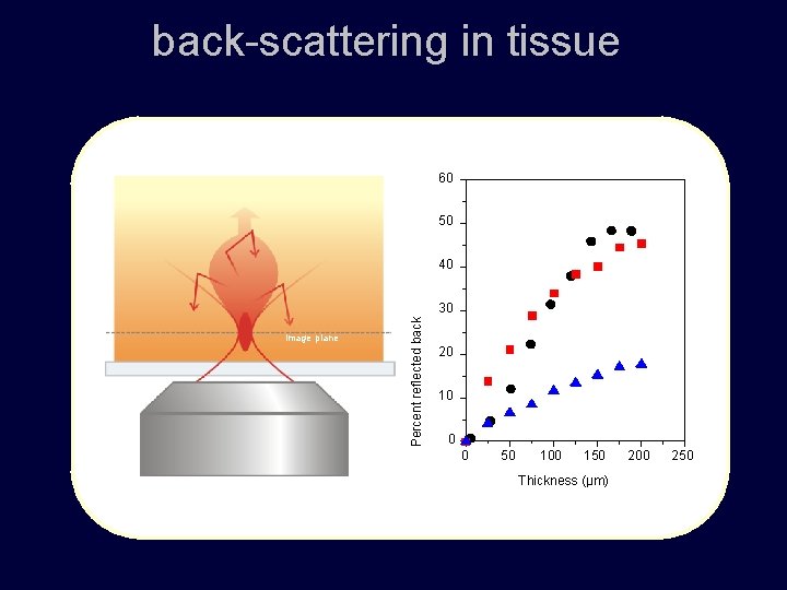 back-scattering in tissue 60 B 50 40 image plane Percent reflected back 30 20