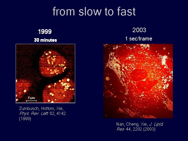 from slow to fast 1999 2003 30 minutes 1 sec/frame Zumbusch, Holtom, Xie, Phys.