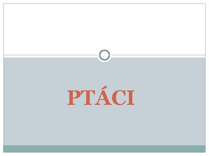 PTÁCI 