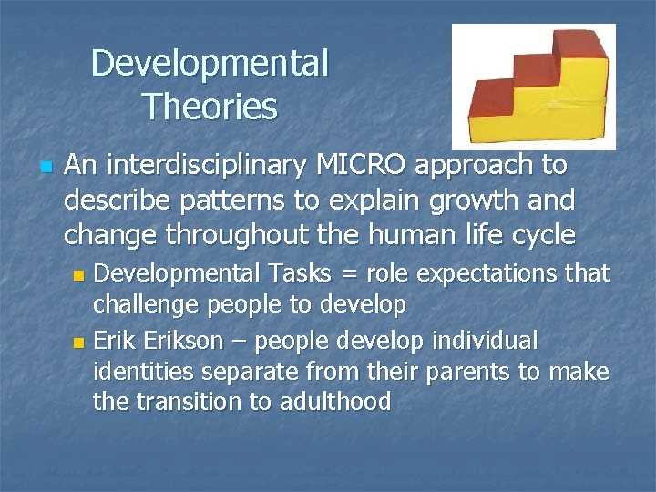 Developmental Theories n An interdisciplinary MICRO approach to describe patterns to explain growth and