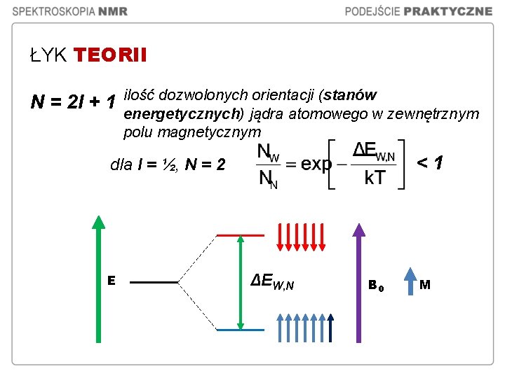 ŁYK TEORII N = 2 I + 1 ilość dozwolonych orientacji (stanów energetycznych) jądra ŁYK TEORII N = 2 I + 1 ilość dozwolonych orientacji (stanów energetycznych) jądra