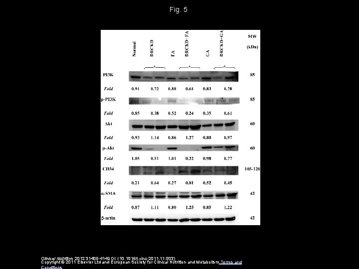 Fig. 5 Clinical Nutrition 2012 31405 -414 DOI: (10. 1016/j. clnu. 2011. 003) Copyright