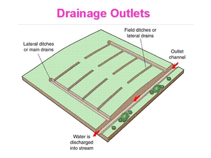 Drainage Outlets 