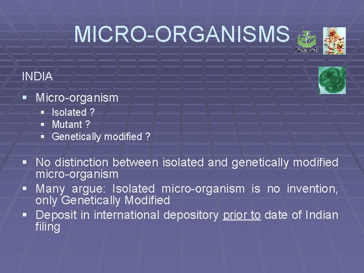 MICRO-ORGANISMS INDIA § Micro-organism § Isolated ? § Mutant ? § Genetically modified ?