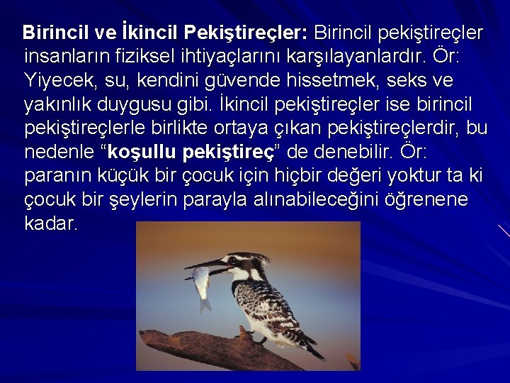 Birincil ve İkincil Pekiştireçler: Birincil pekiştireçler insanların fiziksel ihtiyaçlarını karşılayanlardır. Ör: Yiyecek, su, kendini