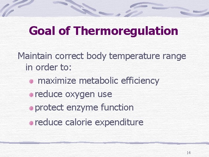 Goal of Thermoregulation Maintain correct body temperature range in order to: maximize metabolic efficiency