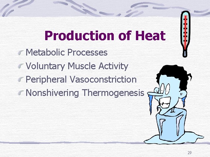 Production of Heat Metabolic Processes Voluntary Muscle Activity Peripheral Vasoconstriction Nonshivering Thermogenesis 29 