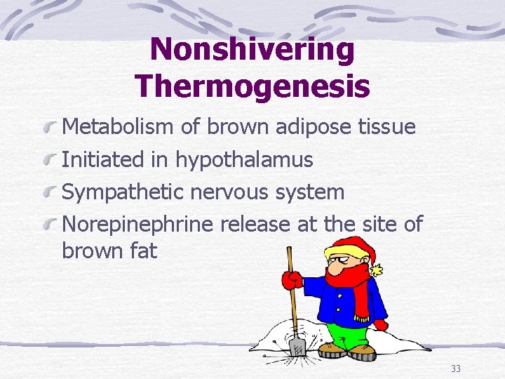 Nonshivering Thermogenesis Metabolism of brown adipose tissue Initiated in hypothalamus Sympathetic nervous system Norepinephrine