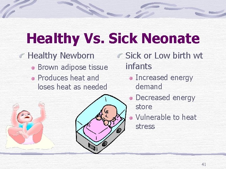 Healthy Vs. Sick Neonate Healthy Newborn Brown adipose tissue Produces heat and loses heat