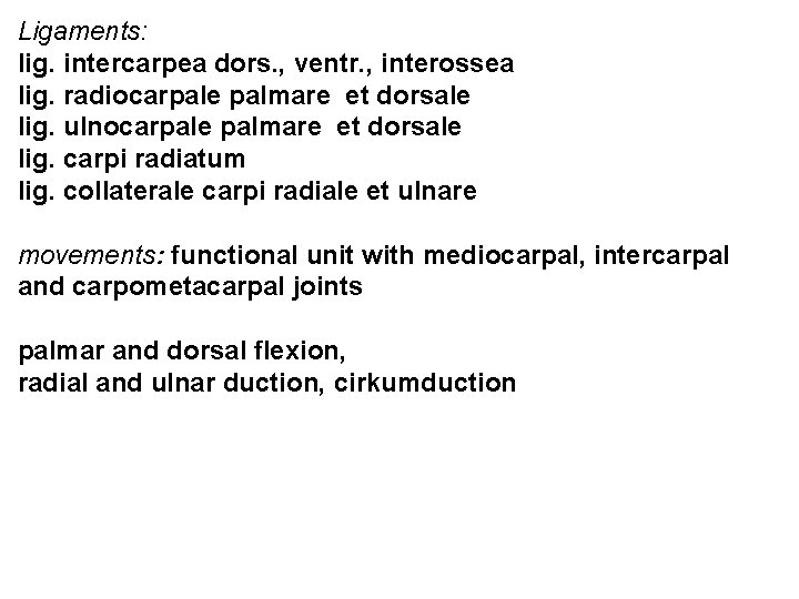 Ligaments: lig. intercarpea dors. , ventr. , interossea lig. radiocarpale palmare et dorsale lig.