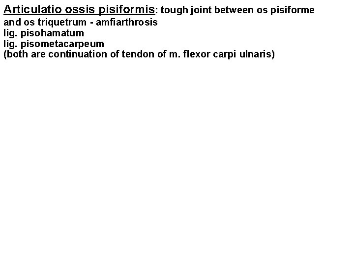 Articulatio ossis pisiformis: tough joint between os pisiforme and os triquetrum - amfiarthrosis lig.