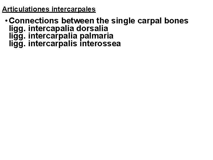 Articulationes intercarpales • Connections between the single carpal bones • ligg. intercapalia dorsalia •