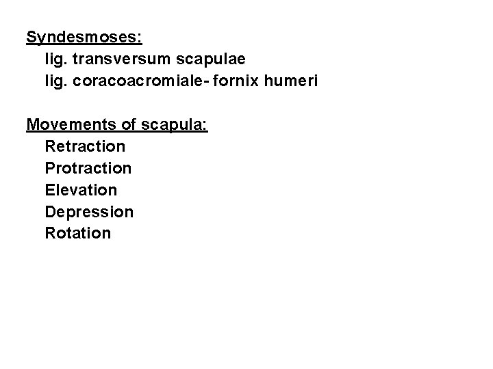 Syndesmoses: - lig. transversum scapulae - lig. coracoacromiale- fornix humeri Movements of scapula: -