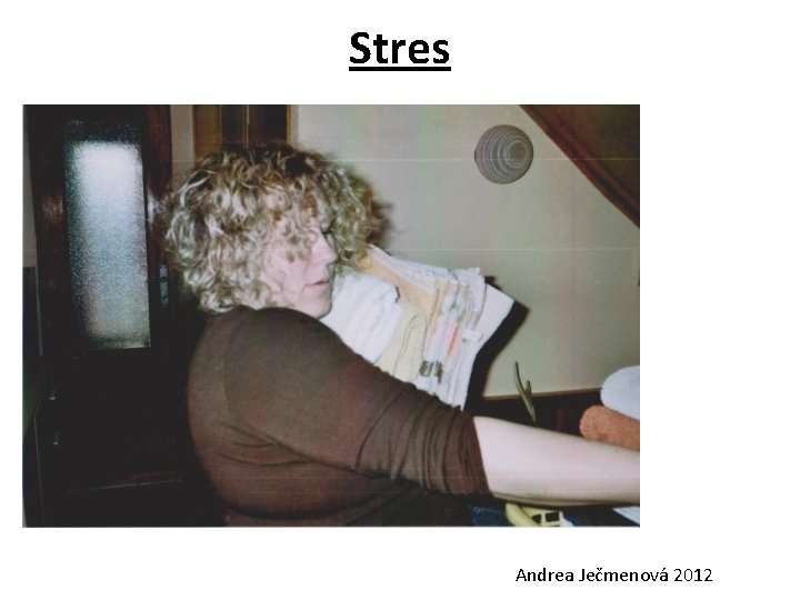 Stres Andrea Ječmenová 2012 