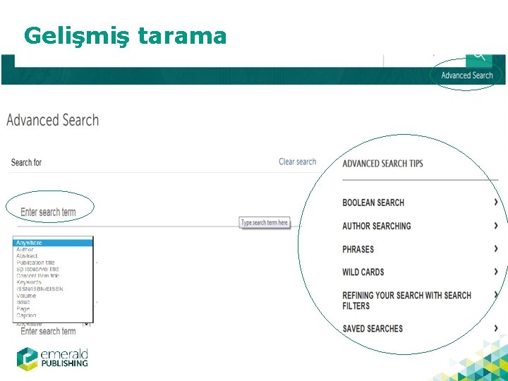 Gelişmiş tarama 