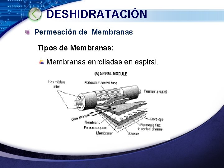 DESHIDRATACIÓN Permeación de Membranas Tipos de Membranas: Membranas enrolladas en espiral. LOGO www. themegallery.