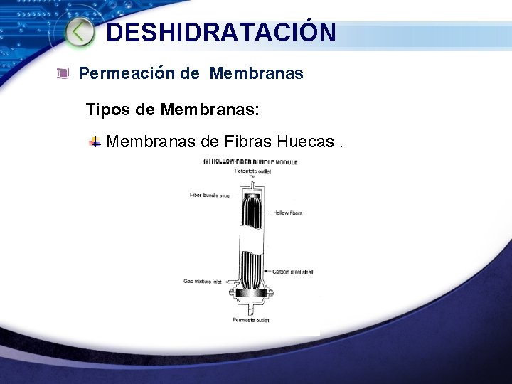 DESHIDRATACIÓN Permeación de Membranas Tipos de Membranas: Membranas de Fibras Huecas. LOGO www. themegallery.