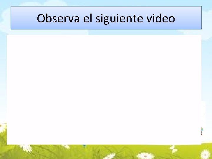 Observa el siguiente video 