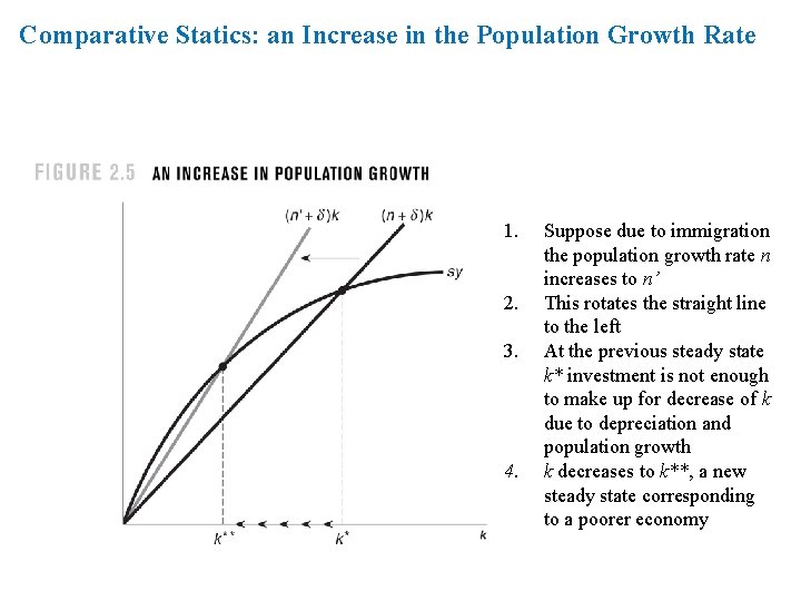 Comparative Statics: an Increase in the Population Growth Rate 1. 2. 3. 4. Suppose