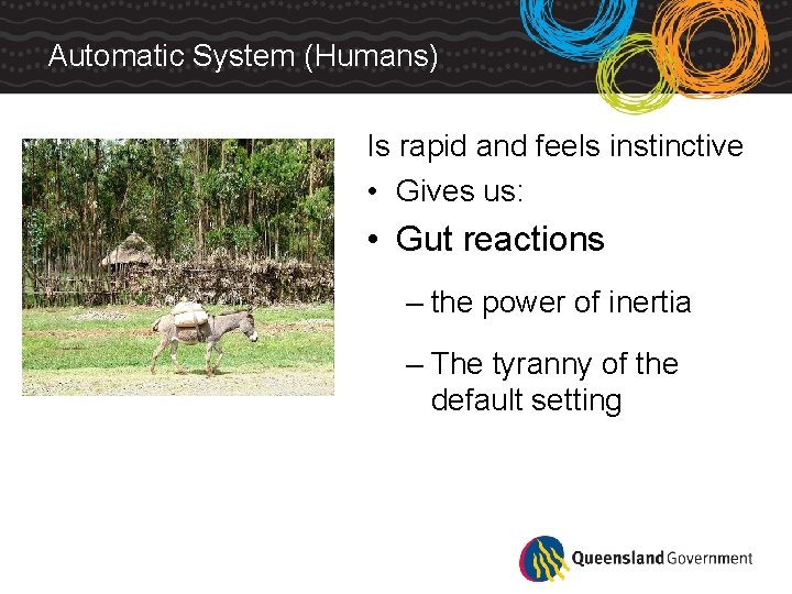 Automatic System (Humans) Is rapid and feels instinctive • Gives us: • Gut reactions