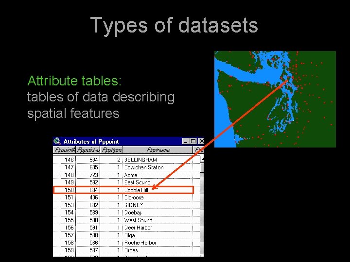 Types of datasets Attribute tables: tables of data describing spatial features 