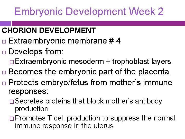 Embryonic Development Week 2 CHORION DEVELOPMENT Extraembryonic membrane # 4 Develops from: � Extraembryonic