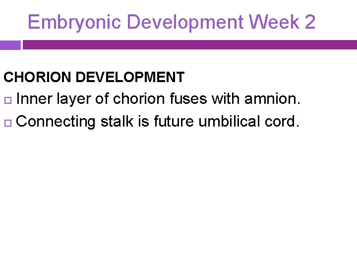 Embryonic Development Week 2 CHORION DEVELOPMENT Inner layer of chorion fuses with amnion. Connecting