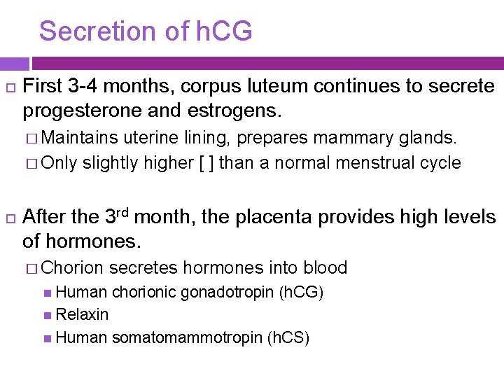 Secretion of h. CG First 3 -4 months, corpus luteum continues to secrete progesterone