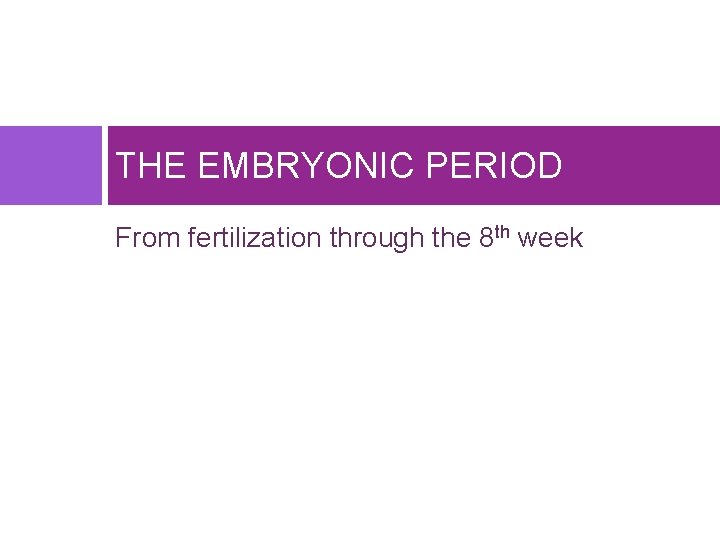 THE EMBRYONIC PERIOD From fertilization through the 8 th week 