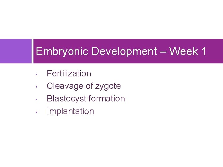 Embryonic Development – Week 1 • • Fertilization Cleavage of zygote Blastocyst formation Implantation