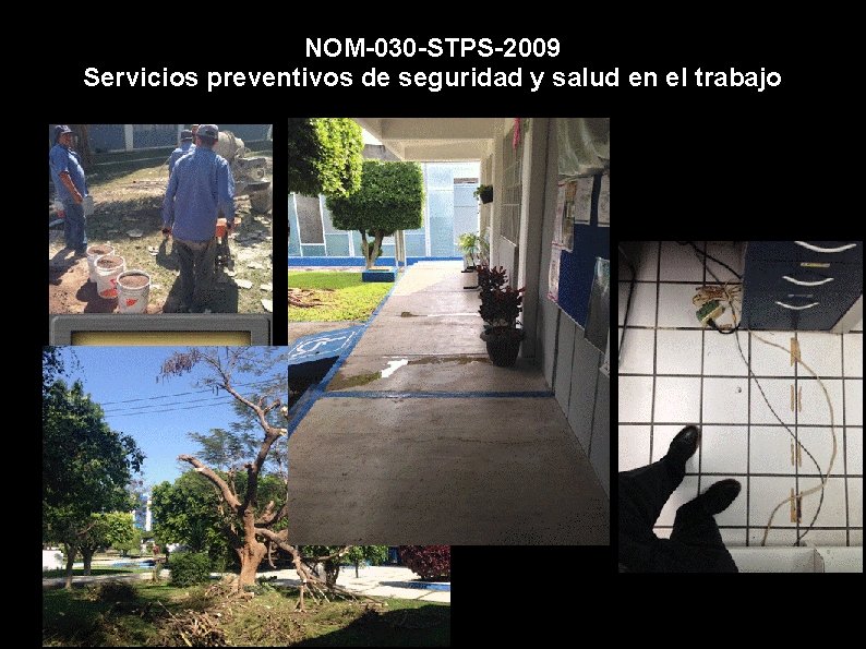 Norma Oficial Mexicana NOM030 STPS2009 Servicios preventivos de