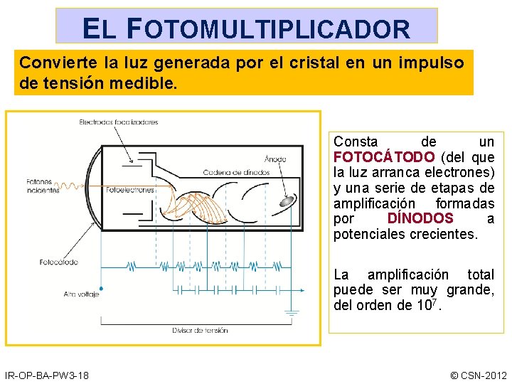 EL FOTOMULTIPLICADOR Convierte la luz generada por el cristal en un impulso de tensión EL FOTOMULTIPLICADOR Convierte la luz generada por el cristal en un impulso de tensión