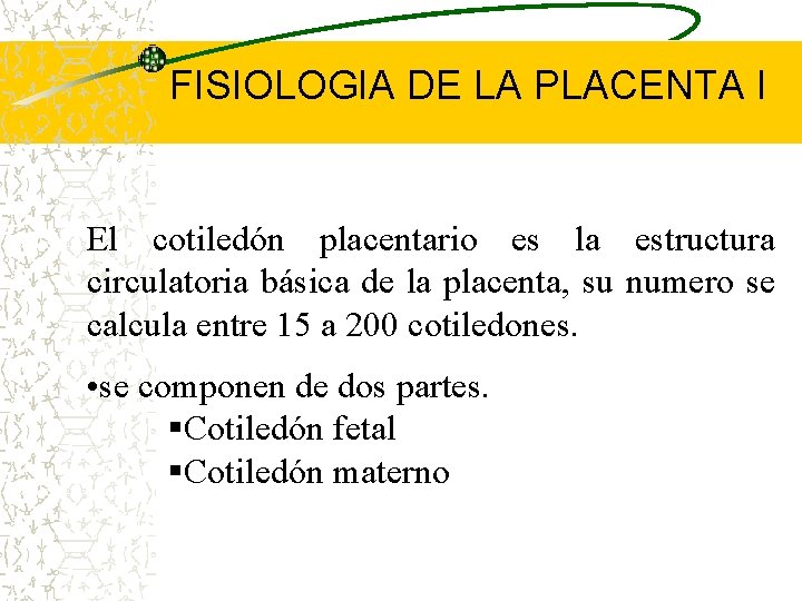 FISIOLOGIA DE LA PLACENTA I El cotiledón placentario es la estructura circulatoria básica de