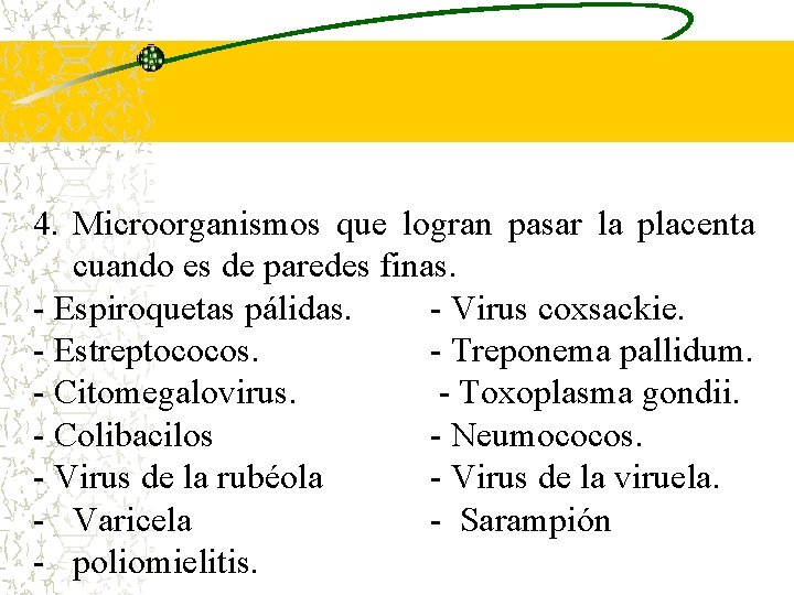 4. Microorganismos que logran pasar la placenta cuando es de paredes finas. - Espiroquetas