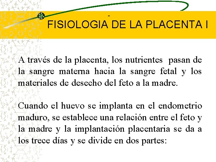  FISIOLOGIA DE LA PLACENTA I A través de la placenta, los nutrientes pasan